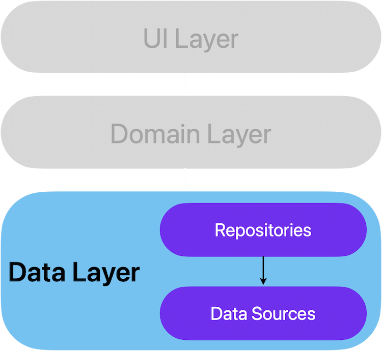 Data Layer